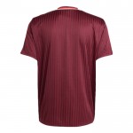 Günstige Fußballtrikots Bayern München Adidas Terrace Icon 2024-25 Kurzarm